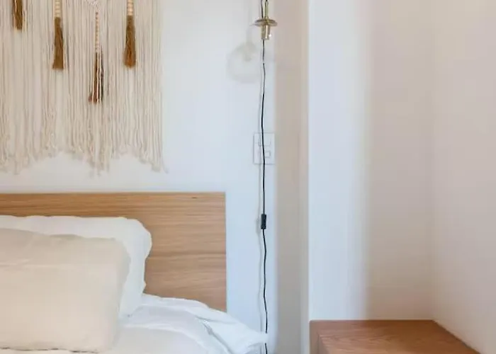 Apartment Centrally Located Space 2rec En La Roma Vive La Ciudad Mexico City
